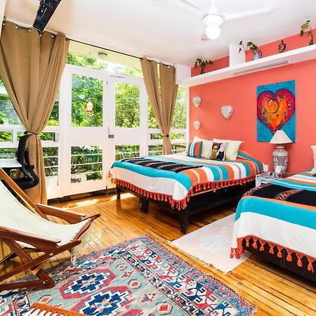 Casa Itzae B&B Polanquito Dog Friendly 墨西哥城 外观 照片