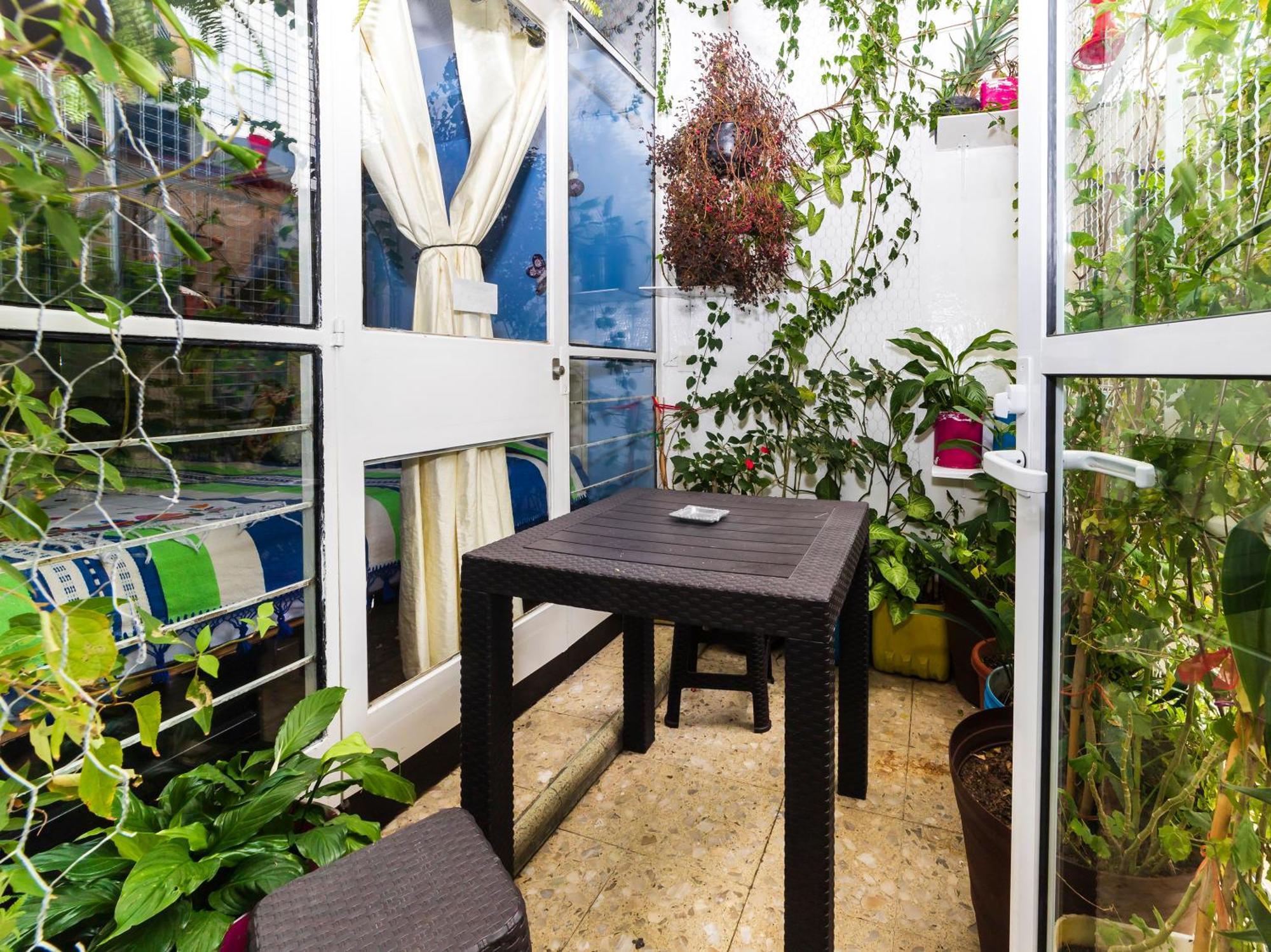 Casa Itzae B&B Polanquito Dog Friendly 墨西哥城 外观 照片