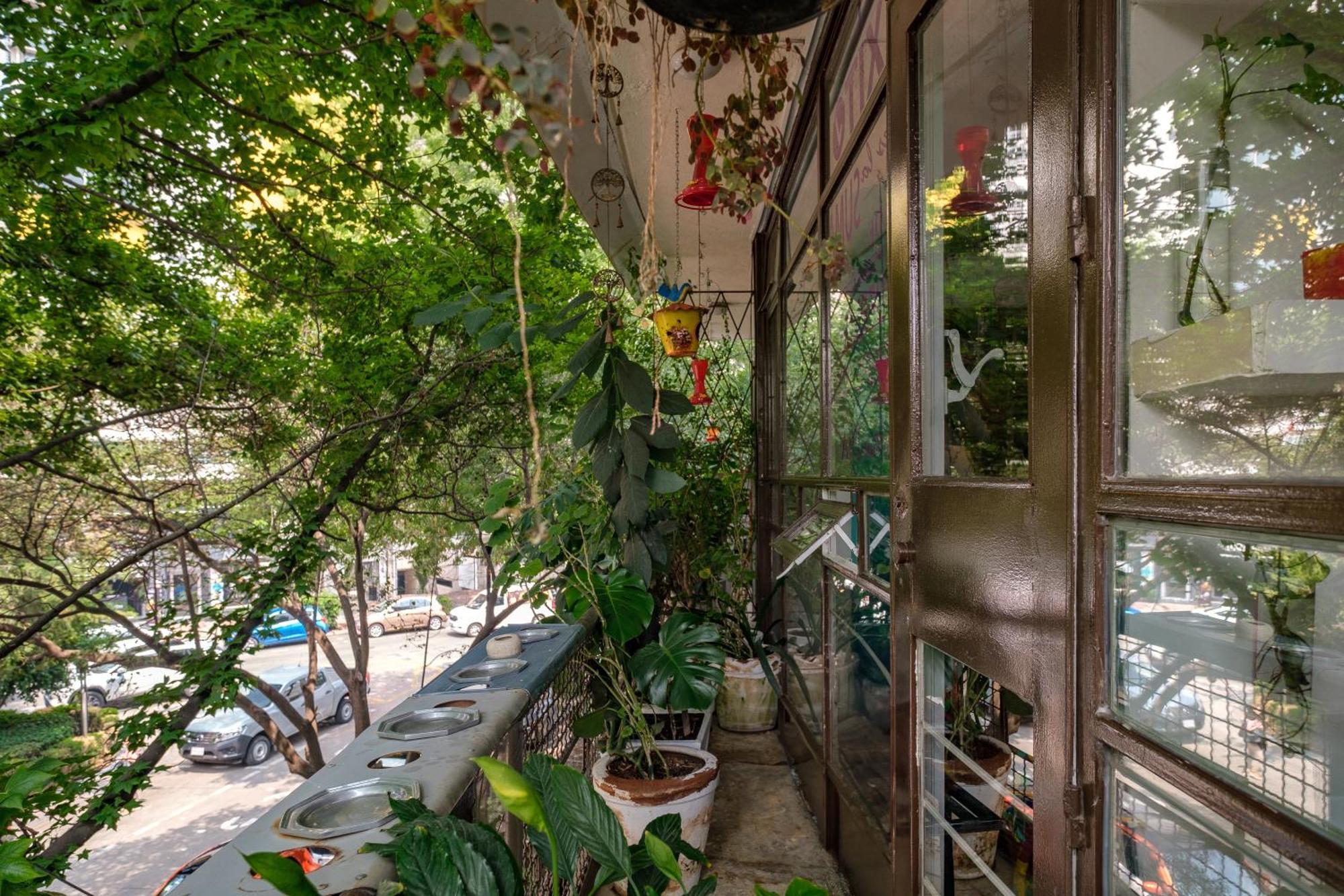 Casa Itzae B&B Polanquito Dog Friendly 墨西哥城 外观 照片
