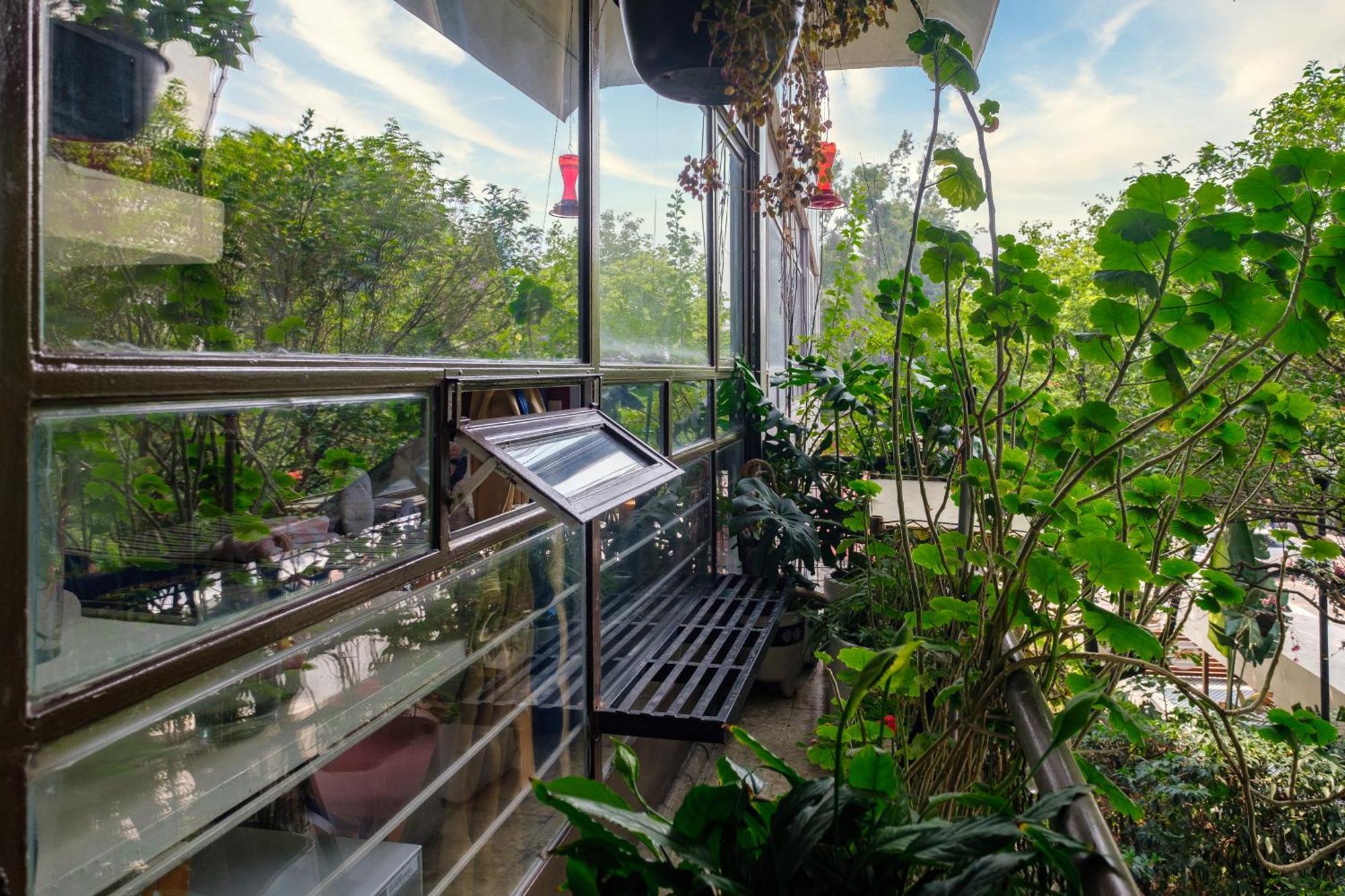Casa Itzae B&B Polanquito Dog Friendly 墨西哥城 外观 照片
