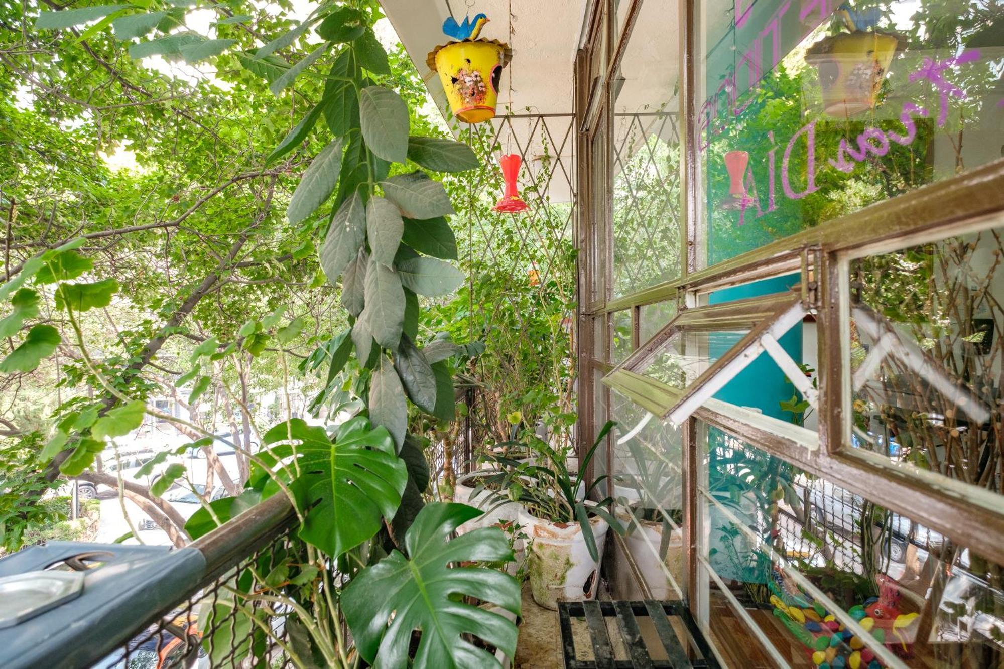 Casa Itzae B&B Polanquito Dog Friendly 墨西哥城 外观 照片